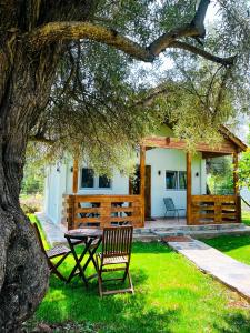 a table and a chair under a tree at Elleria's House in Lefkada