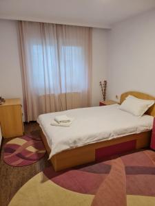 - une chambre avec un lit et une grande fenêtre dans l'établissement Apartament Retreat, à Drăgăşani