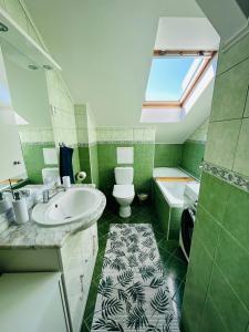 een badkamer met een wastafel, een toilet en een raam bij Apartman Theresa in Děčín