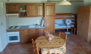 Il comprend une cuisine équipée d'une table, d'un évier et d'une cuisinière. dans l'établissement Studio Appart Verdon, à Allemagne-en-Provence