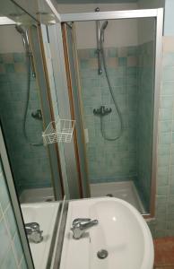 een badkamer met een wastafel en een douche bij Studio Appart Verdon in Allemagne-en-Provence