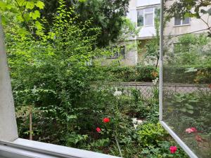 a window view of a garden with flowers at Apartament Retreat in Drăgăşani