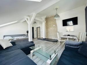 Televízia a/alebo spoločenská miestnosť v ubytovaní Apartman Theresa