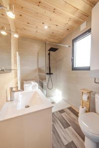 ein Badezimmer mit einem weißen Waschbecken und einem WC in der Unterkunft Le Laponya - Chalet climatisé avec SPA & Borne de recharge in Bressols