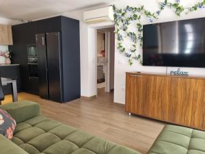 uma sala de estar com um sofá e uma televisão de ecrã plano em Adel apartment em Izola