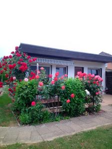 a house with red roses in front of it at FEWO Isla 1 in Elmenhorst