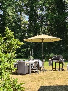 Landgoed De Lavei في Weleveld: طاولة وكراسي مع مظلة في العشب