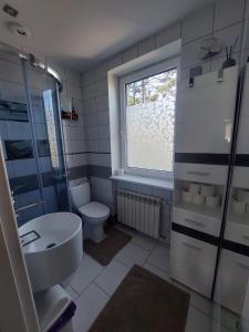 a bathroom with a sink and a toilet and a window at Apartamenty Nadmorskie Fiesta in Gdynia