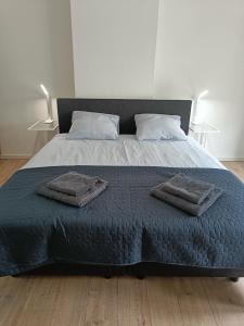 een groot bed met twee handdoeken erop bij The Brussels-Laken Appartement in Brussel