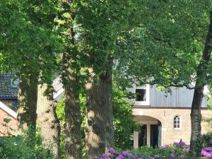 un grupo de árboles frente a una casa en Landgoed De Lavei, en Weleveld