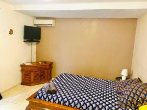 a bedroom with a bed and a dresser and a television at Le MélanZé in Grande Anse