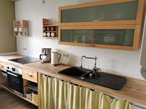 a kitchen with a sink and a stove at Gartenwohnung Paulsdorf in Dippoldiswalde