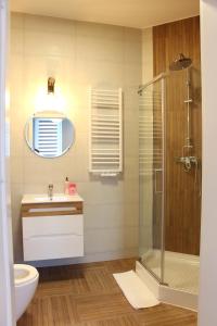 W łazience znajduje się prysznic, umywalka i toaleta. w obiekcie APART MAZURY Apartamenty na Mazurach w Orzyszu