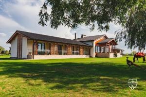 a house with a horse standing in front of it at Pensiunea Balta Paradisul Pescarilor in Pufeşti