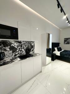 Kuchyňa alebo kuchynka v ubytovaní V21 Luxury Apartments