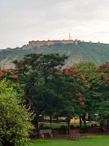 a park with trees and a castle on a hill at Sukh Sagar Hotel in Jaipur