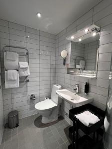 a bathroom with a toilet and a sink and a mirror at Hotell Dannegården in Trelleborg