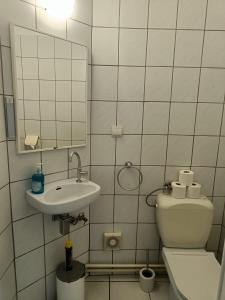 La salle de bains est pourvue de toilettes, d'un lavabo et d'un miroir. dans l'établissement The Brussels-Laken Appartement, à Bruxelles
