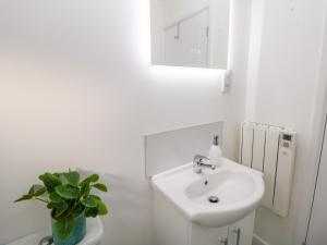 a white bathroom with a sink and a vase with a plant at Harry's Lodge in Chesterfield +18 photos