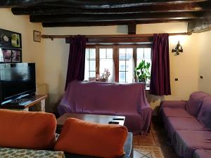 een woonkamer met paarse banken en een tv bij Casa Rural Pierresena en Larrayoz, Navarra in Arístregui