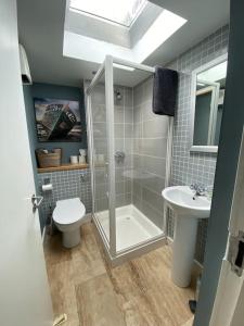 a bathroom with a shower and a toilet and a sink at The Stillorgan Village in Dublin