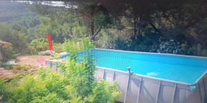 una gran piscina en un patio con árboles en L'Oustaou Dorey, en Saint-Cyr-sur-Mer