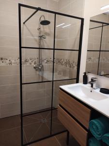 a bathroom with a shower and a sink at HAPPY SPA in Gouy-en-Gohelle +10 photos