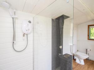 a bathroom with a shower and a toilet at Acres Meadow in Dorchester
