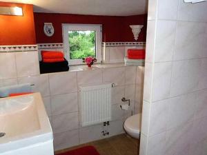 baño con lavabo y aseo y ventana en Rosenhof Ferienwohnungen, en Mölln-Medow