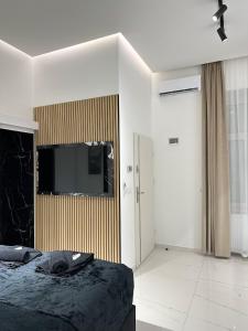 Televízia a/alebo spoločenská miestnosť v ubytovaní V21 Luxury Apartments