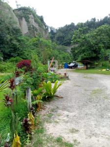 uma estrada de terra com um ramo de flores e árvores em Tapian Ratu Camp em Bukittinggi