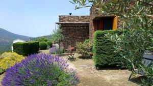 a garden with purple flowers in front of a building at InXisto Lodges in Piódão +73 photos