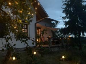 Ogród w obiekcie Dom Mossa