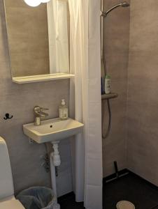 uma casa de banho com um lavatório, um espelho e um chuveiro em Ulvö Hamnkrog em Ulvöhamn