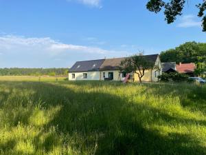 a house in the middle of a field of grass at Apartmán Spolí in Třeboň