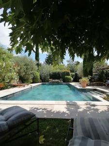 - une piscine dans une cour avec un arbre dans l'établissement Meublé chaleureux en Provence, à Cheval-Blanc