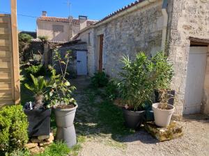 a garden with potted plants in front of a building at LES ROCHES gîte in Corme-Royal