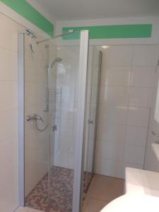 W łazience znajduje się prysznic ze szklanymi drzwiami. w obiekcie Apartment Haus 25 w mieście Velten