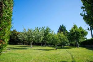A garden outside CASA BELAI