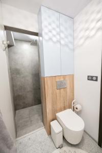 a small bathroom with a toilet and a shower at Studio Kotelna in Rudník