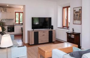 a living room with a flat screen tv on a entertainment center at Riverview Lodge in Bohinj
