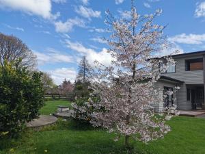 a flowering tree in a yard next to a house at Tamahere Lifestyle in Tamahere