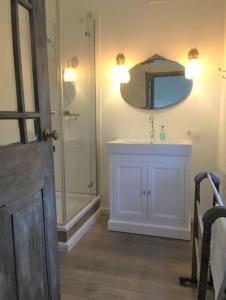 uma casa de banho com um chuveiro, um lavatório e um espelho. em Zauberhaftes englisches Cottage am Gutshaus em Groß Schoritz