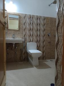 a bathroom with a toilet and a sink and a mirror at Maryoul Guest House, Hunder Nubra in Hundar