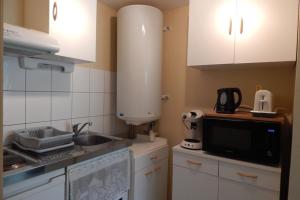 eine kleine Küche mit einer Spüle und einer Mikrowelle in der Unterkunft Quiet cocoon near the city centre in Gérardmer