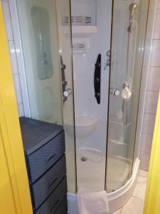 a bathroom with a shower and a sink at Studio apartman Laca in Šibenik