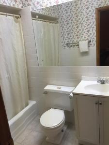 Un baño con inodoro, lavabo y ducha. en Budget Inn - Cambridge, en Fairdale