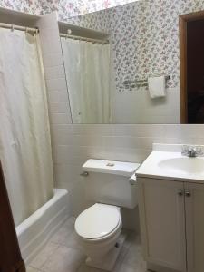 a bathroom with a toilet and a sink and a shower at Budget Inn - Cambridge in Fairdale