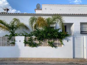 eine weiße Wand mit einem Fenster mit Pflanzen darauf in der Unterkunft Casa Tomillo Calpe - Villa with private pool near the beach in Calpe