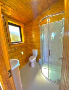 a bathroom with a toilet and a glass shower at Cosy Portmor Log Cabin in Malin Head